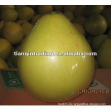 Frischer pomelo 2012